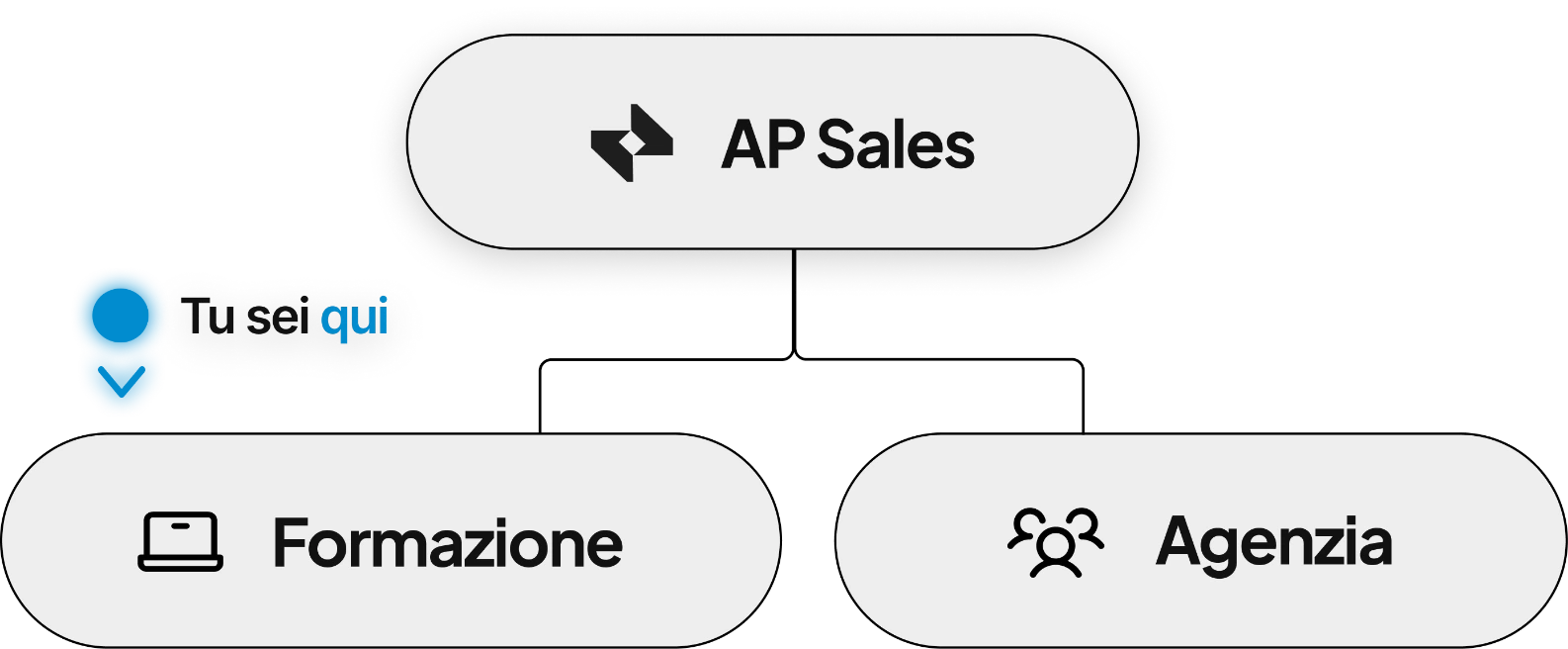 L'albero di AP Sales: da AP Sales scendono due rami, Formazione e Agenzia. Un puntatore blu segna «tu sei qui» sul ramo Formazione.